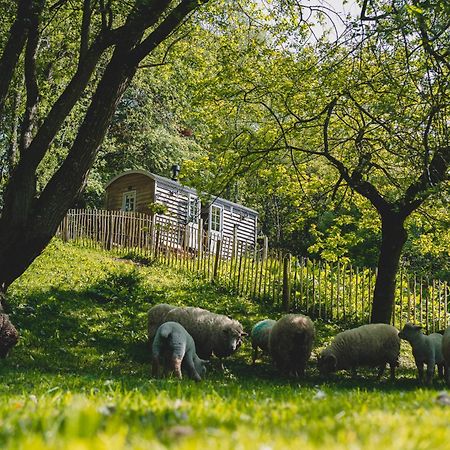 Somerset Shepherds Huts Winsham Eksteriør bilde